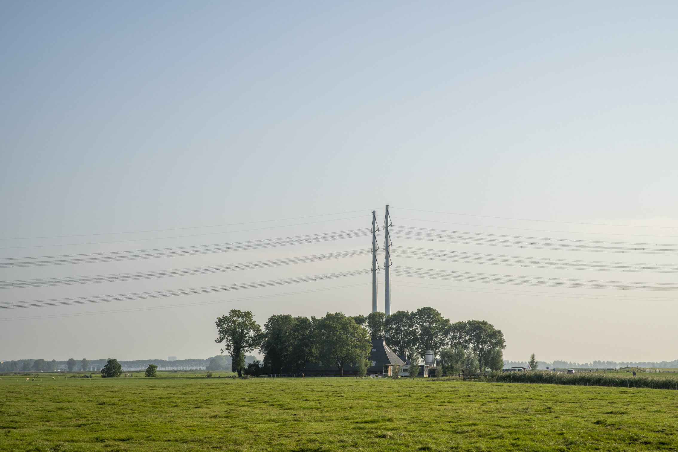 2409218-bij-wetsingerzijl-peterdekan-_dsc7380.jpg