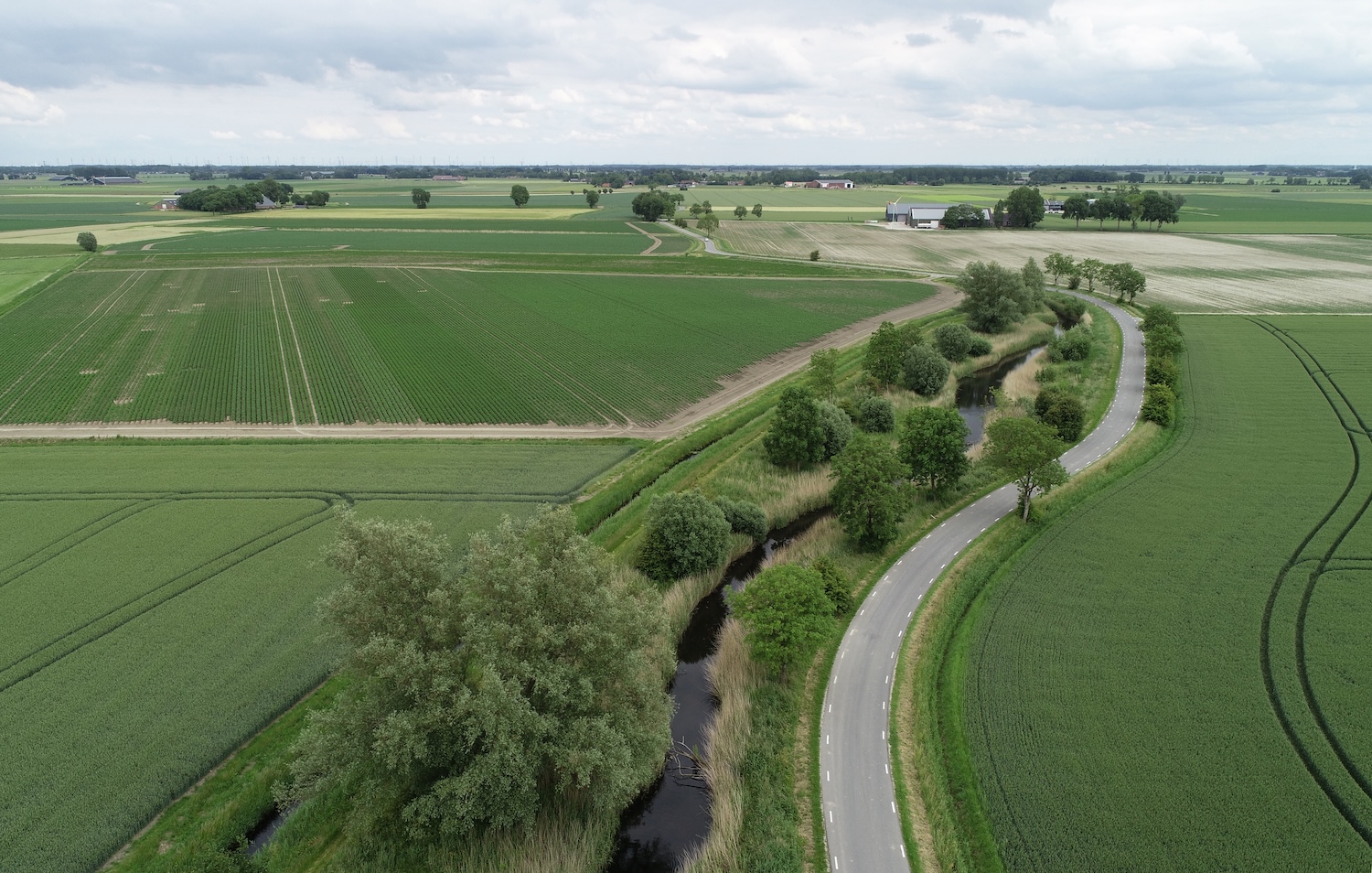 dji_0076_bijgesneden-en-gedraaid_foto-annie-beugel-1731099784.jpg